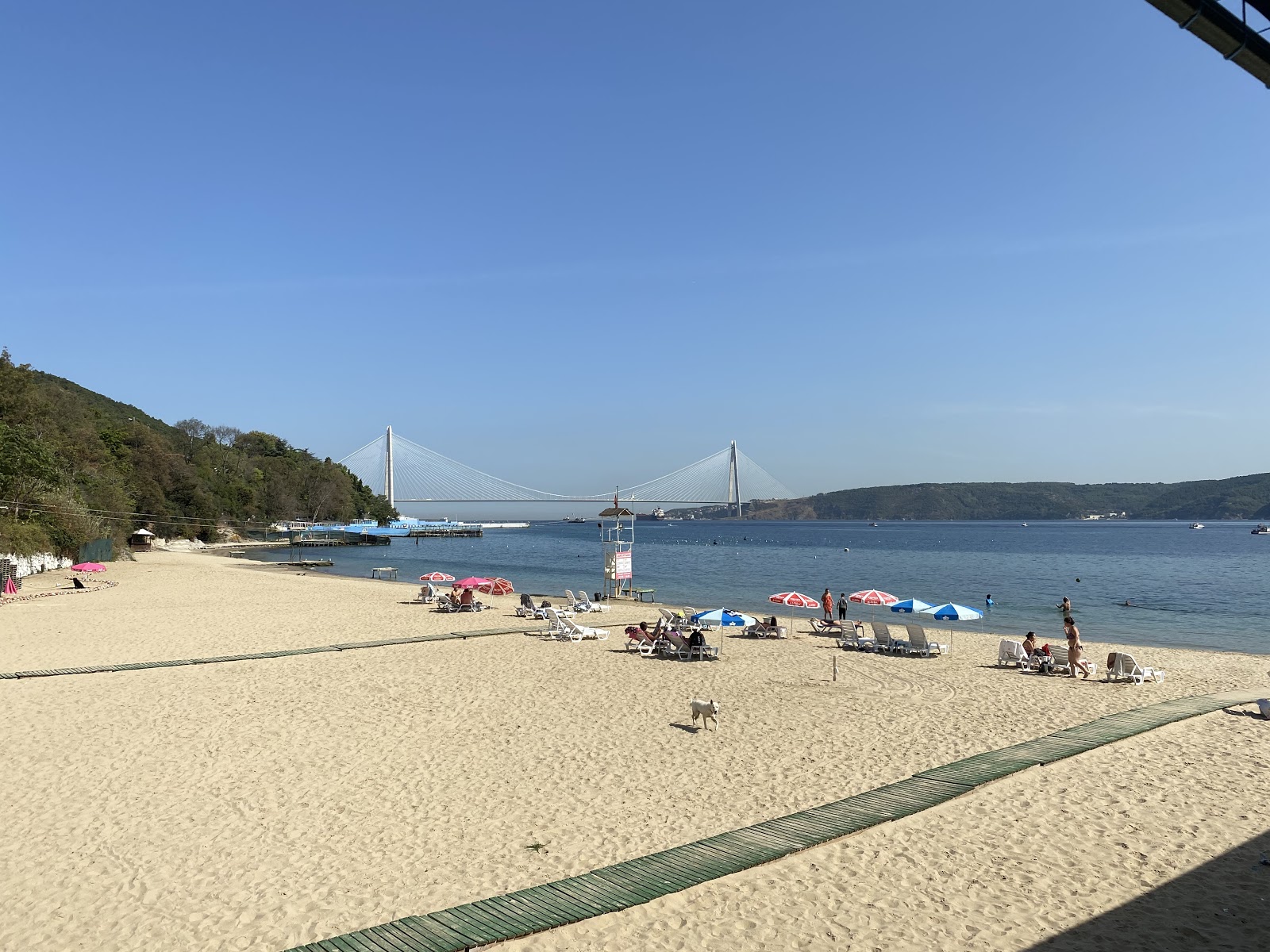 Zdjęcie Sariyer Altinkum Kadinlar Plaji z powierzchnią drobny beżowy piasek
