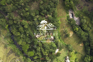 The Forestry Camps image