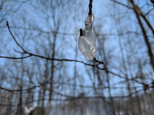 Nature Preserve «Stage Nature Center», reviews and photos, 6685 Coolidge Hwy, Troy, MI 48098, USA