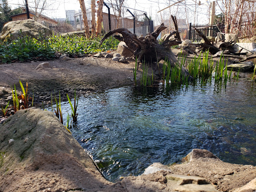 Natural History Museum «Cleveland Museum of Natural History», reviews and photos, 1 Wade Oval Dr, Cleveland, OH 44106, USA