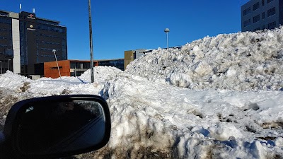 Photos of Blue Mountain Apartments