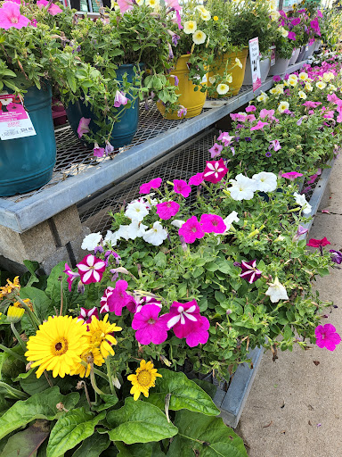 Home Improvement Store «The Home Depot», reviews and photos, 2461 N Richmond Rd, McHenry, IL 60051, USA