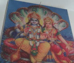 Narayana Vegetarian photo