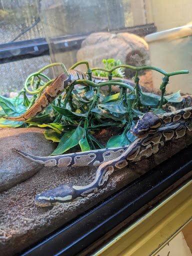 Pet Store «A to Z Pets», reviews and photos, 16010 SE Division St, Portland, OR 97236, USA