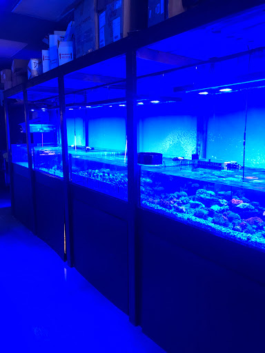 Tropical Fish Store «OceanLife Aquariums», reviews and photos, 5475 West Loop S, Houston, TX 77081, USA