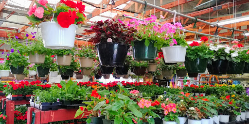 Garden Center «Agway», reviews and photos, 1025 Green St, Greensburg, PA 15601, USA