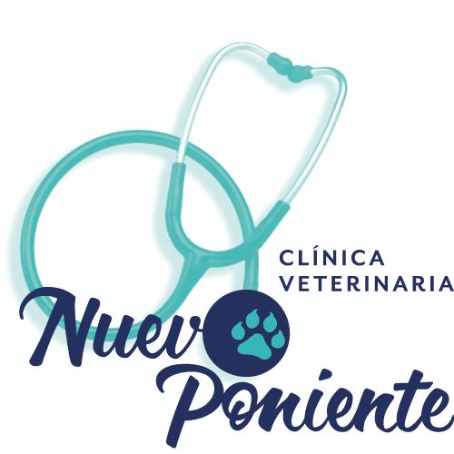 Clinica Veterinaria Nuevo Poniente