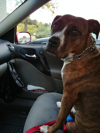 Pet Supply Store «Pet Supplies Plus», reviews and photos, 4505 S 76th St, Greenfield, WI 53220, USA