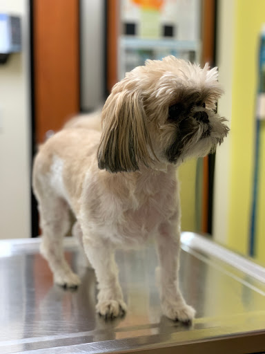 Pet Supply Store «PetSmart», reviews and photos, 830 Pelham Pkwy, Pelham, NY 10803, USA