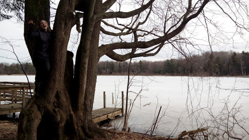Nature Preserve «Beaver Meadow Audubon Center», reviews and photos, 1610 Welch Rd, Java Center, NY 14082, USA