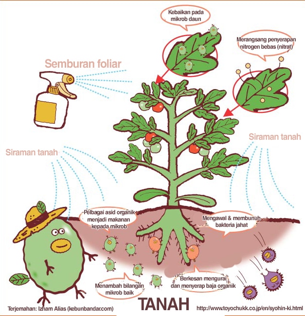 Baja Foliar Bina Aziz