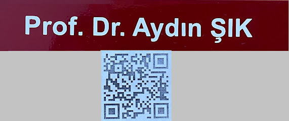 Prof. Dr. Aydın ŞIK