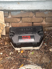 LaJaunie's Pest Control - Photo 8 - Car repair in New Orleans, LA, New Orleans