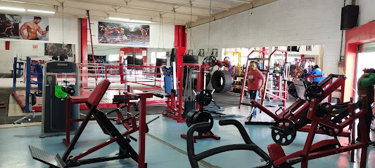 Titanium Sport Gym - Blvd. Capitán Carlos Camacho Espíritu 2402, San Francisco Totimehuacan, 72960 Puebla, Pue., Mexico