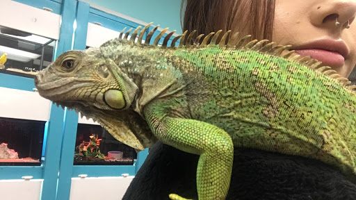 Pet Store «Pet Zone», reviews and photos, 1620 Marion-Mt Gilead Rd, Marion, OH 43302, USA