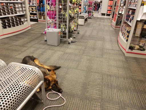 Sporting Goods Store «Academy Sports + Outdoors», reviews and photos, 621 Centerview Blvd, Kissimmee, FL 34741, USA