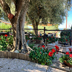 Photo n°1 de l'avis de Bart.� fait le 27/07/2023 à 09:41 sur le  All Antico Orologio à Isola Maggiore