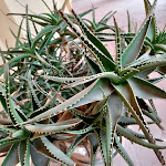 Photo n°3 de l'avis de Marta.a fait le 15/09/2021 à 16:05 sur le  Casale La Sterpaia · Hotel à Pisa