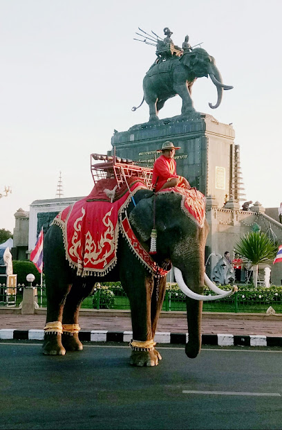 ช้างไทยสายแข็ง