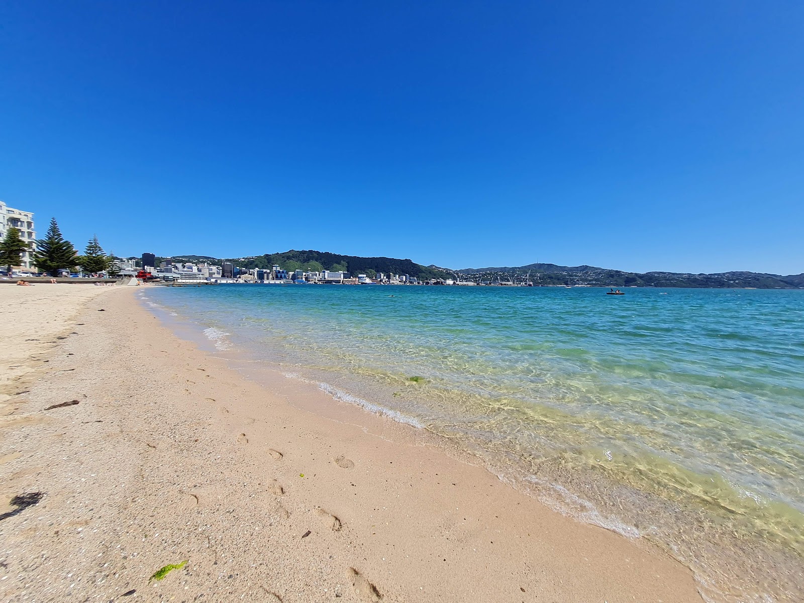 Freyberg Beach的照片 带有碧绿色纯水表面