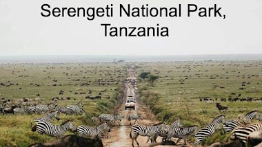 Baobab Safaris Tanzania