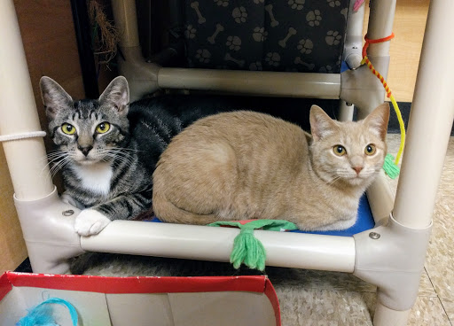 Pet Supply Store «PetSmart», reviews and photos, 4004 US-130, Delran, NJ 08075, USA