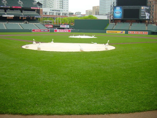 Baseball Field «Oriole Park at Camden Yards», reviews and photos, 333 W Camden St, Baltimore, MD 21201, USA