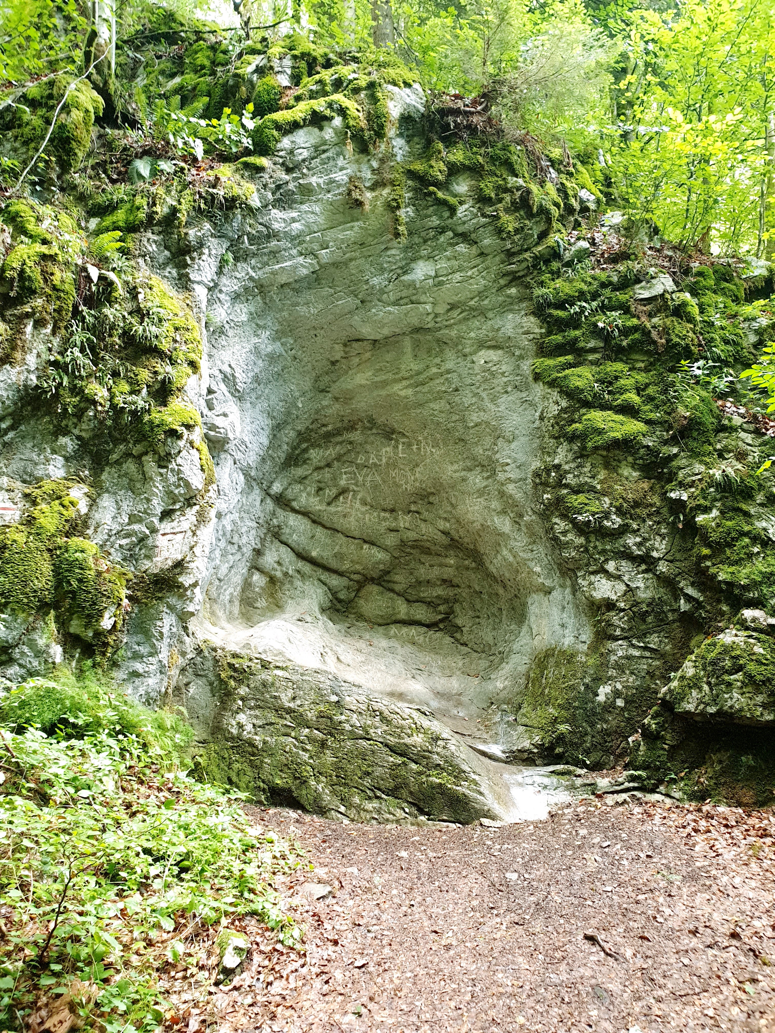Photo n° 17 de l'avis de Gilles.H fait le 22/07/2020 à 15:28