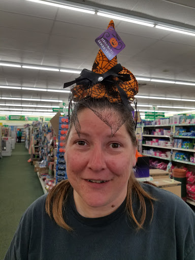 Dollar Store «Dollar Tree», reviews and photos, 1265 S Lapeer Rd, Lake Orion, MI 48360, USA