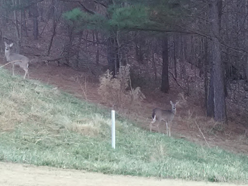 Golf Course «Windermere Golf Club», reviews and photos, 5000 Davis Love Dr, Cumming, GA 30041, USA