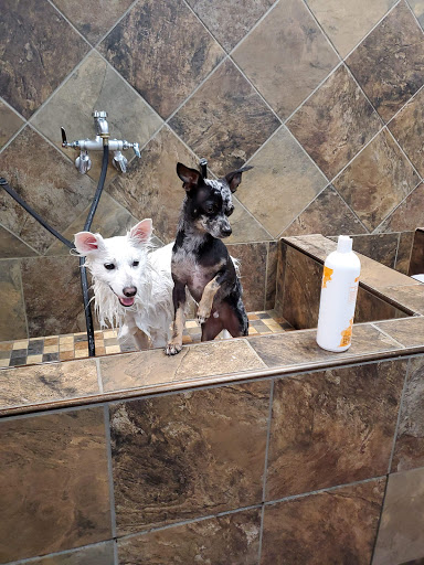 Pet Supply Store «Pet Valu», reviews and photos, 150 Main St, Lodi, NJ 07644, USA