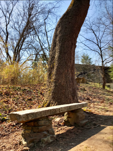 Botanical Garden «Botanical Gardens At Asheville», reviews and photos, 151 W .T. Weaver Blvd, Asheville, NC 28804, USA