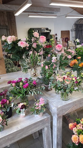 Rezensionen über Jardin-Centre in Grenchen - Blumengeschäft