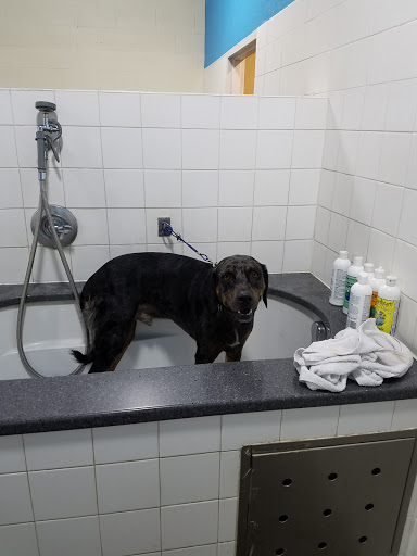 Pet Supply Store «Pet Supplies Plus», reviews and photos, 2840 Countryside Dr, Turlock, CA 95380, USA