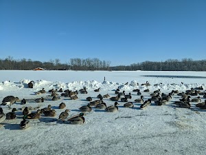Wildwood Zoo - photo 29