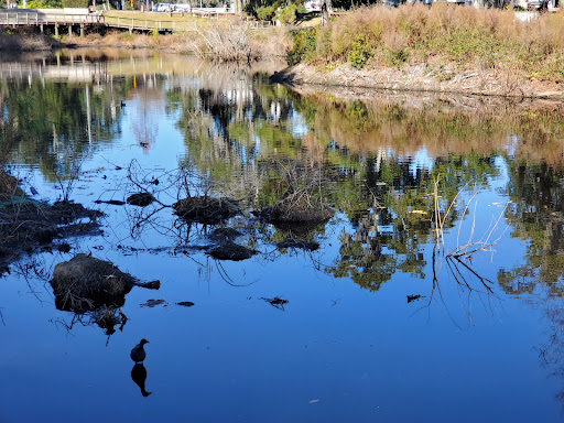 Park «Cypress Wetlands», reviews and photos, 1700 Paris Ave, Port Royal, SC 29935, USA