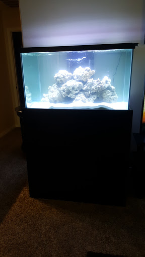 Tropical Fish Store «Blue Reef Aquatics», reviews and photos, 5960 Losee Rd, North Las Vegas, NV 89081, USA