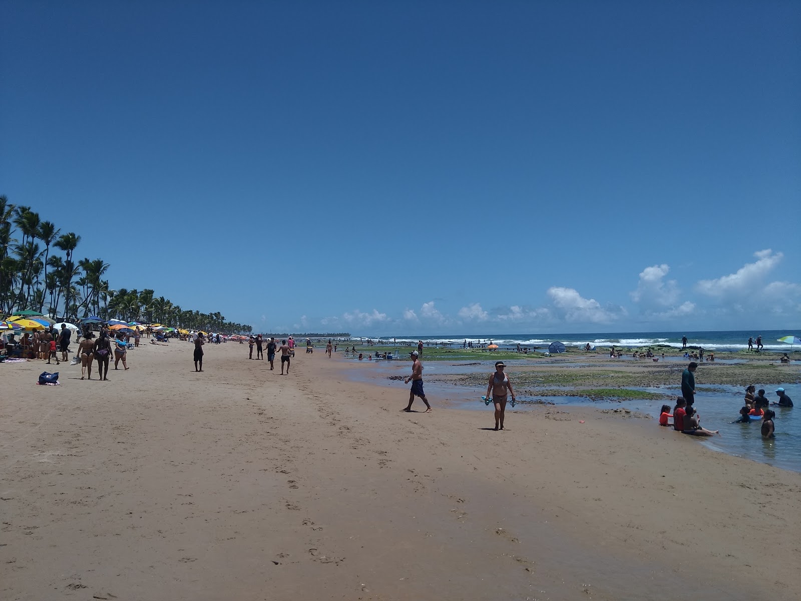 Praia de Busca Vida'in fotoğrafı - rahatlamayı sevenler arasında popüler bir yer