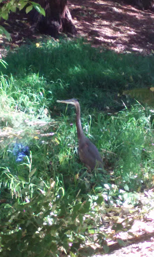 Park «U J Hamby Park», reviews and photos, 1035 NE Jackson School Rd, Hillsboro, OR 97124, USA