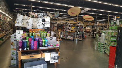 Home Goods Store «Davis Ace Housewares», reviews and photos, 240 G St, Davis, CA 95616, USA