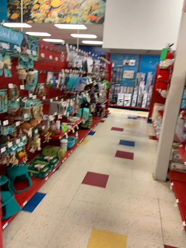 Pet Supply Store «Petco Animal Supplies», reviews and photos, 205 Goodman Rd W, Southaven, MS 38671, USA