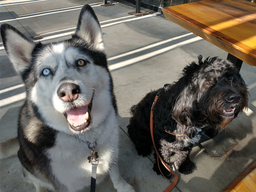 Cafe «Refill», reviews and photos, 3752 Park Blvd #104, San Diego, CA 92103, USA