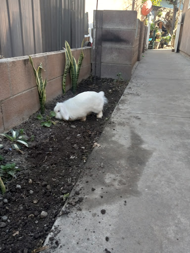 Pet Supply Store «Pet Supply», reviews and photos, 18545 Brookhurst St, Fountain Valley, CA 92708, USA