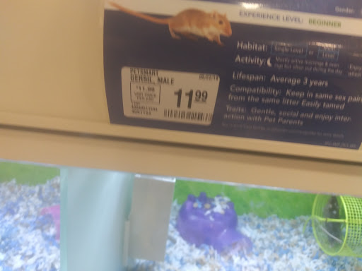 Pet Supply Store «PetSmart», reviews and photos, 1116 S Rochester Rd, Rochester Hills, MI 48307, USA
