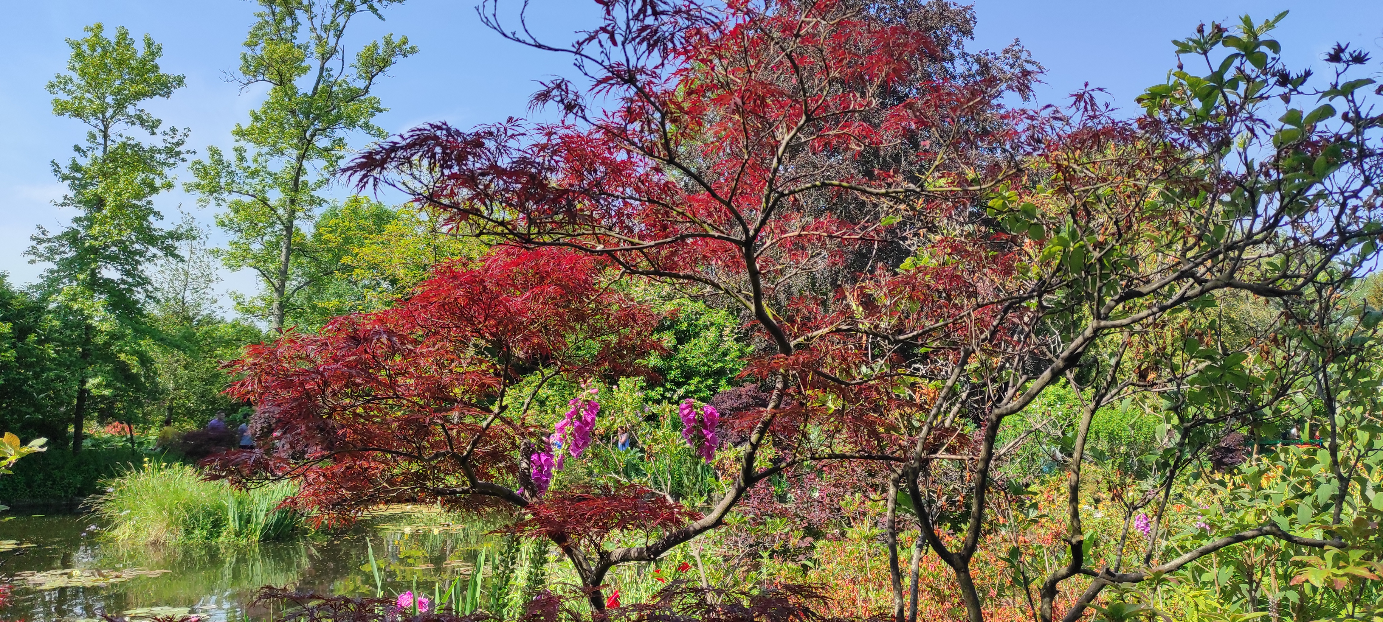 Photo n° 1 de l'avis de Dany.� fait le 05/07/2023 à 09:03