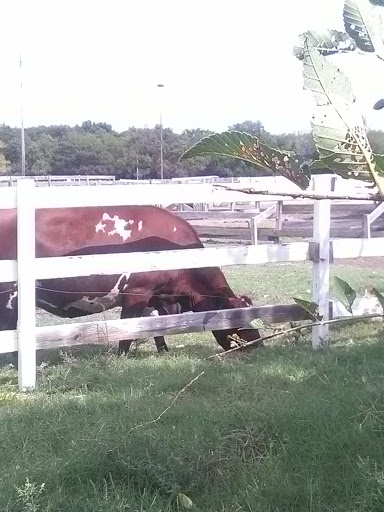 Athletic Field «Westside Athletic Field», reviews and photos, 571 N McLean Blvd, Wichita, KS 67203, USA