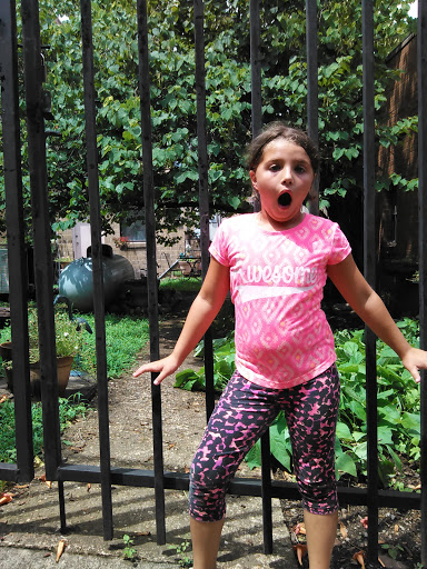 Antique Store «Downtown Antiques Mall», reviews and photos, 1 Court Square, West Plains, MO 65775, USA