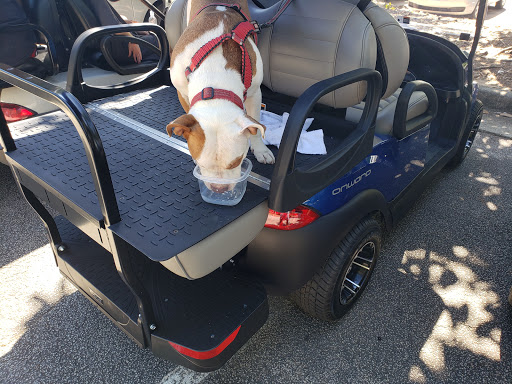 Amphitheater «Frederick Brown Jr Amphitheater», reviews and photos, 201 McIntosh Trail, Peachtree City, GA 30269, USA