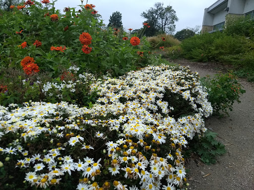 Community Center «Southeast Community Center», reviews and photos, 4201 E 63rd St, Kansas City, MO 64130, USA