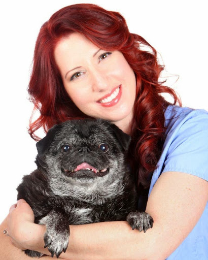 Animal Hospital «Stockton Hill Animal Hospital», reviews and photos, 4335 Stockton Hill Rd, Kingman, AZ 86409, USA